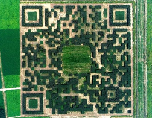 Tree maze QR code